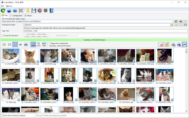 Bulk Image Downloader 6.23 Crack With Latest Version 2023