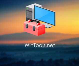 WinTools.net Professional 22.9 Crack + License Key Free 2022