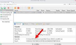 Utorrent Pro 3.9.5 Crack With Activated Free Download 2022