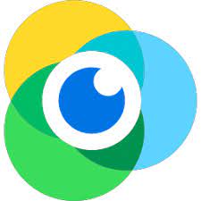 Manycam Pro